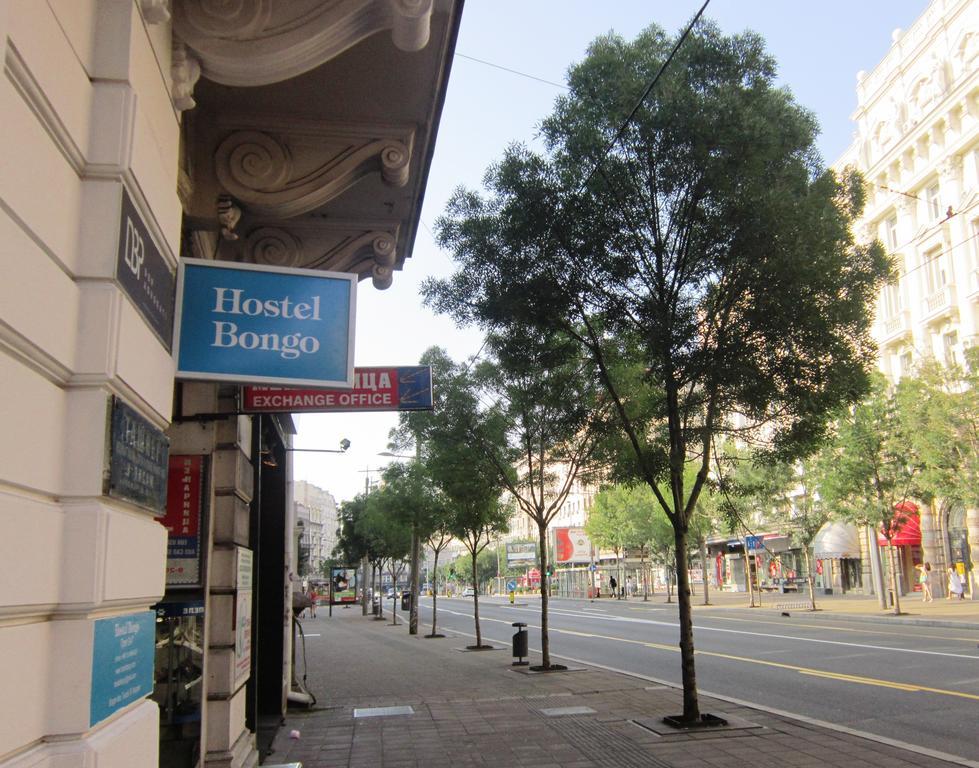 Hostel Bongo Belgrad Zewnętrze zdjęcie